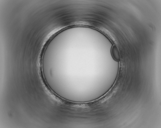 X0000113071133200908281004