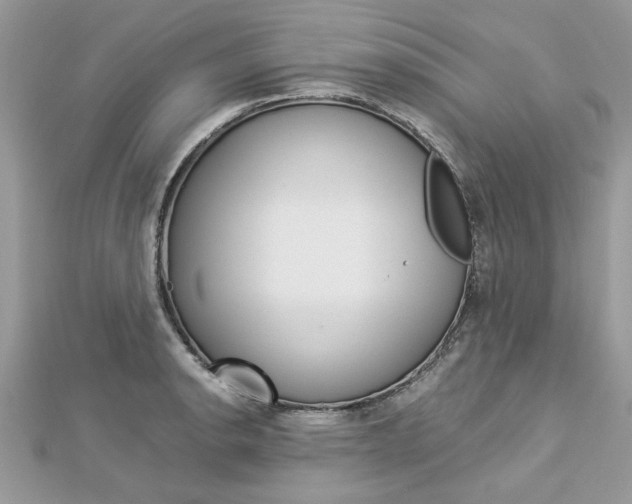 X0000113071134200908281004
