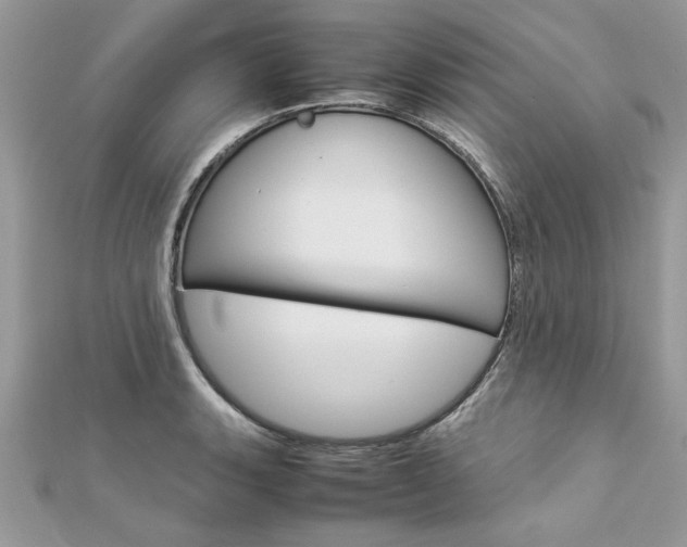 X0000113071135200908281004