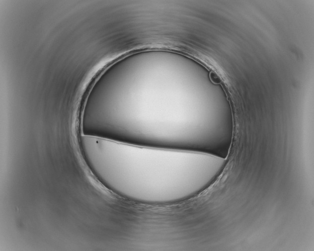 X0000113071136200908281004