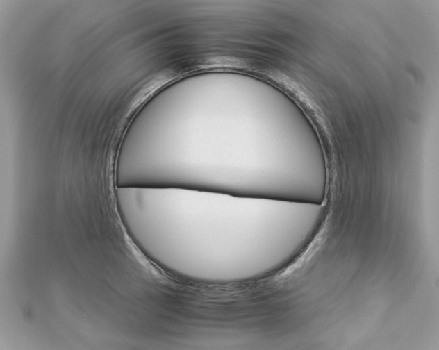 X0000113071137200908281004