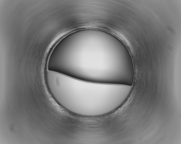 X0000113071138200908281004