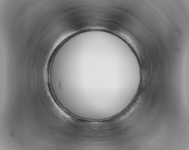 X0000113071141200908281004