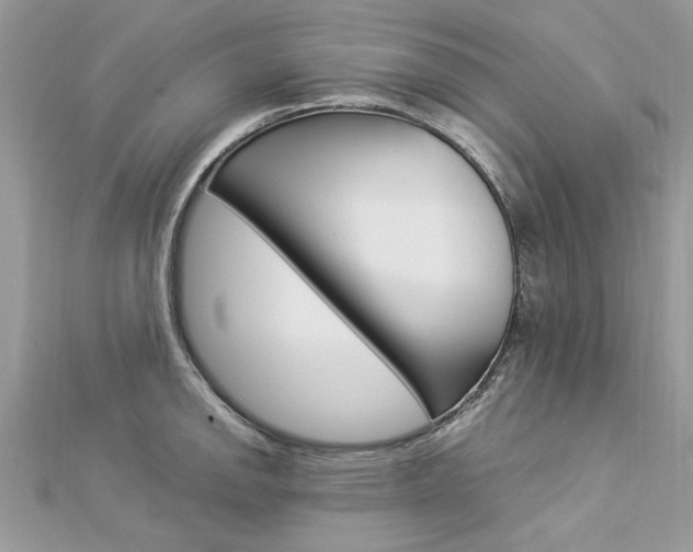 X0000113071142200908281004