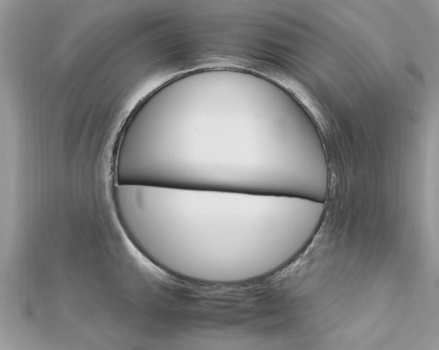 X0000113071143200908281004