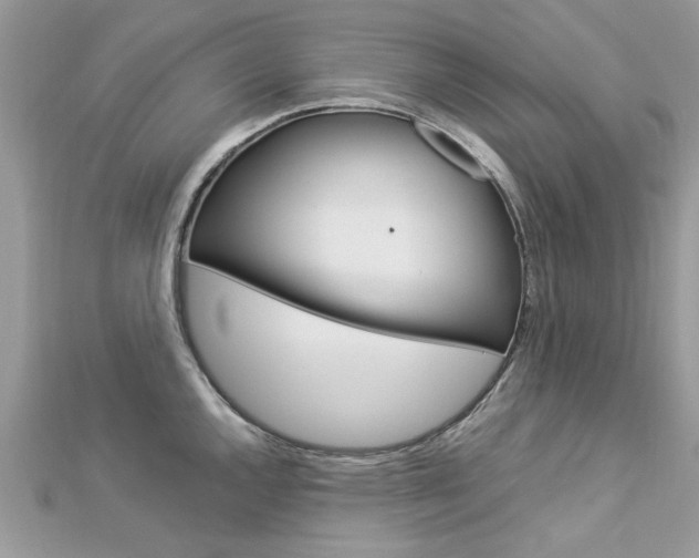 X0000113071144200908281004