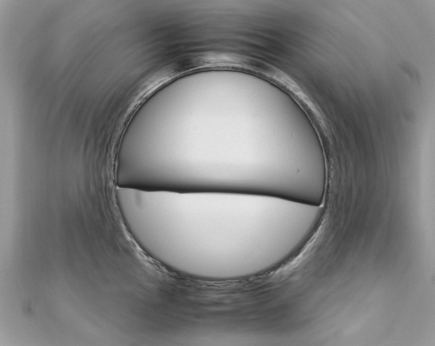 X0000113071145200908281004