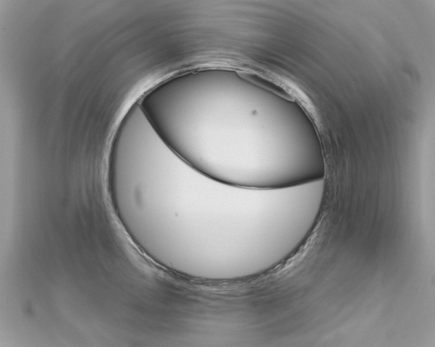 X0000113071146200908281004