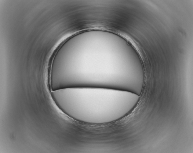 X0000113071147200908281004