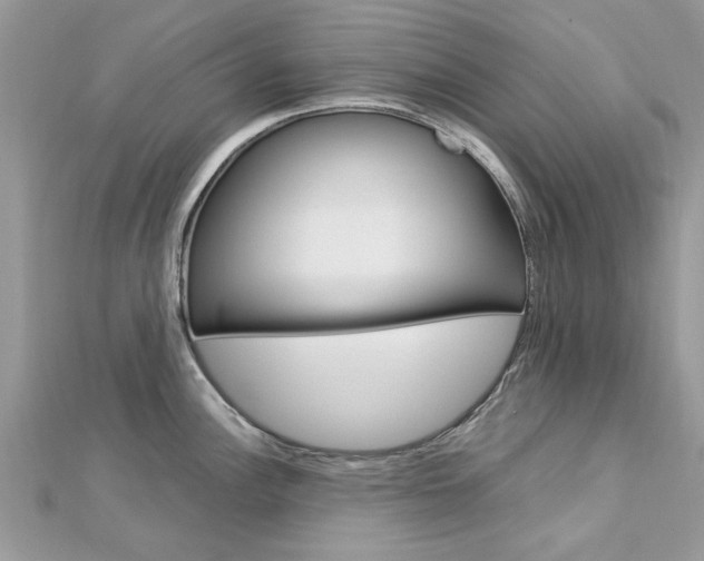 X0000113071148200908281004