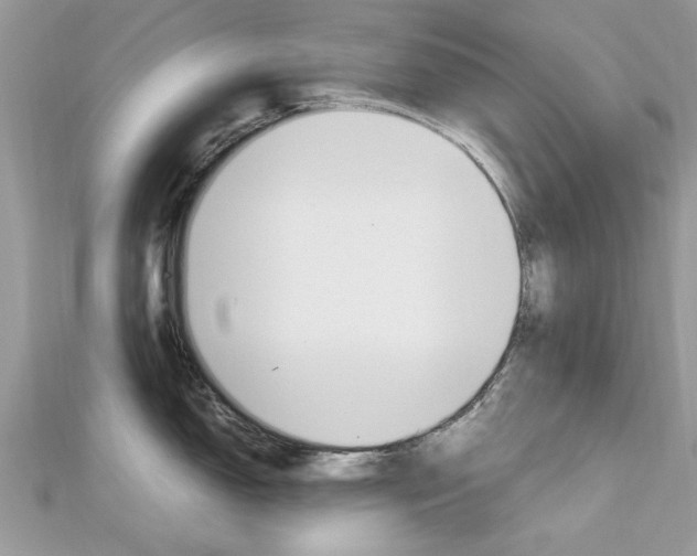 X0000113071150200908281004