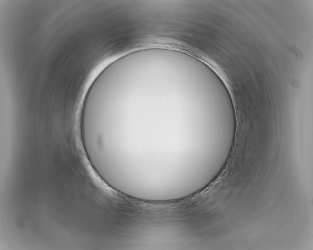 X0000113071152200908281004