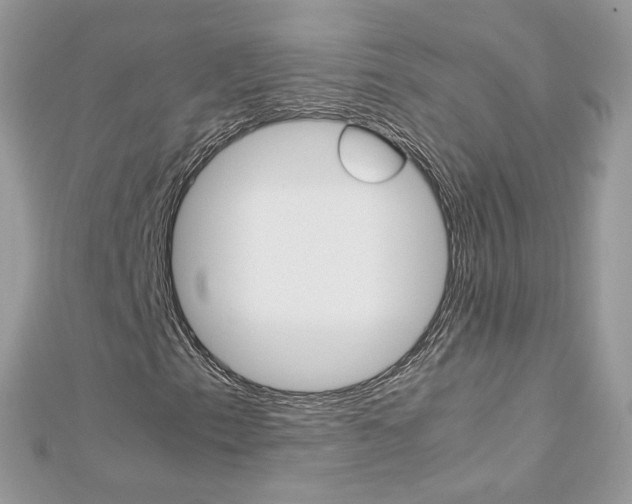 X0000113071153200908281003