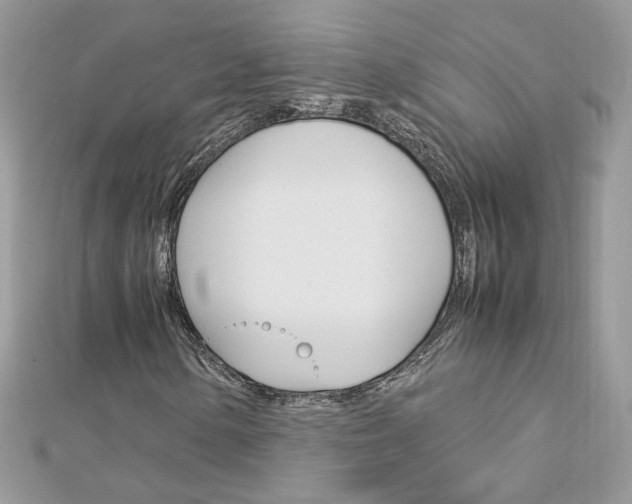 X0000113071154200908281003