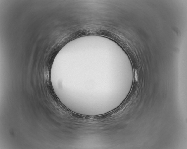 X0000113071155200908281003