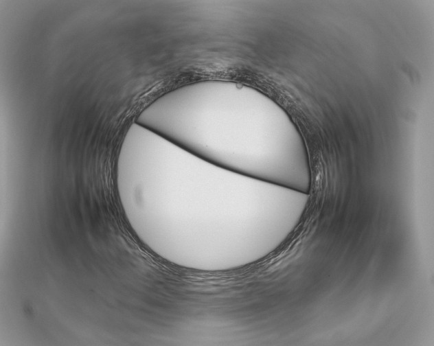 X0000113071156200908281003
