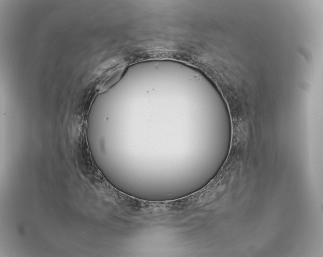 X0000113071157200908281003