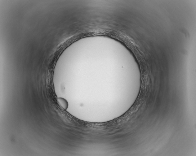 X0000113071158200908281003