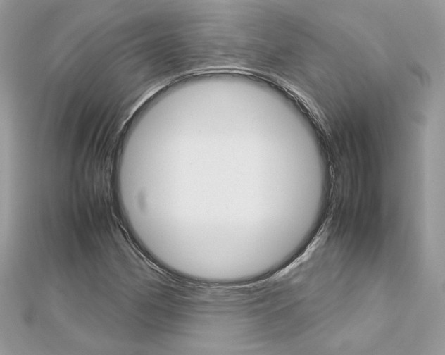 X0000113071162200908281003