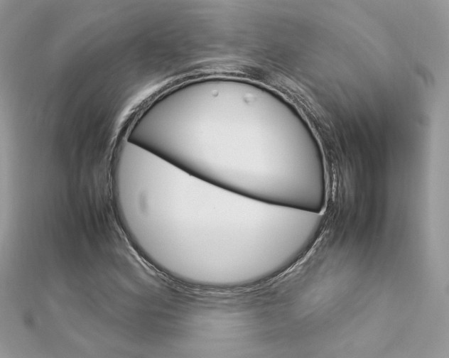 X0000113071164200908281003
