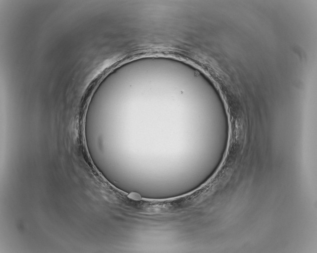 X0000113071165200908281003