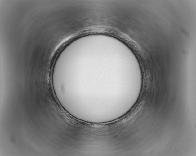 X0000113071166200908281003