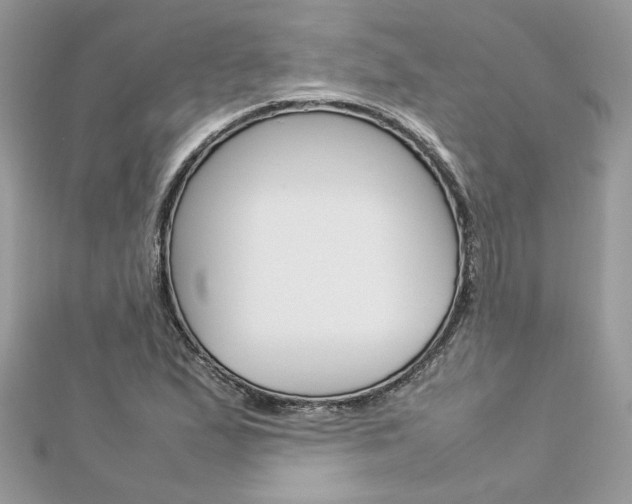 X0000113071167200908281003