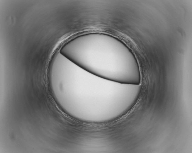 X0000113071168200908281003