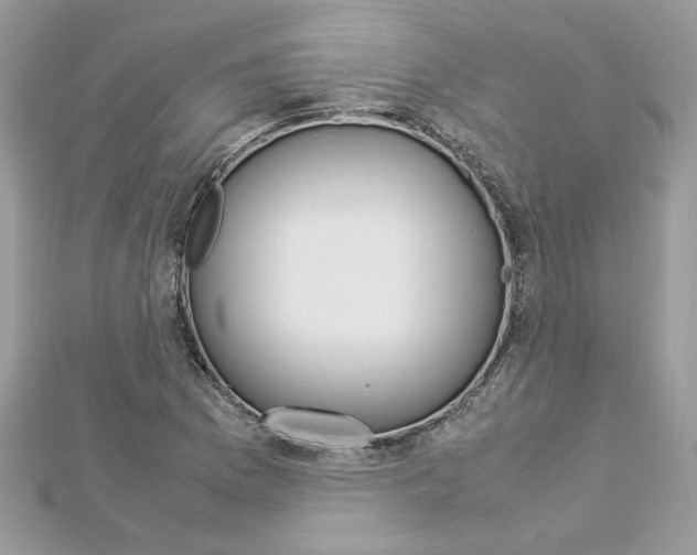 X0000113071169200908281003