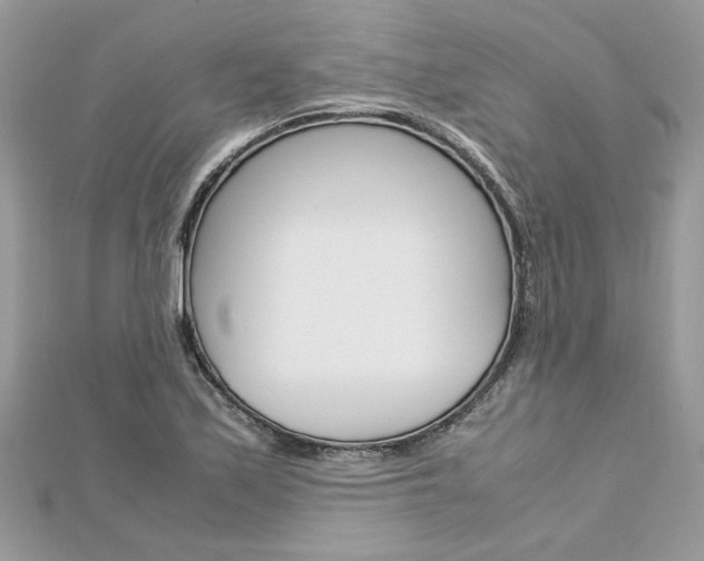 X0000113071171200908281003