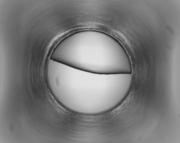 X0000113071172200908281003
