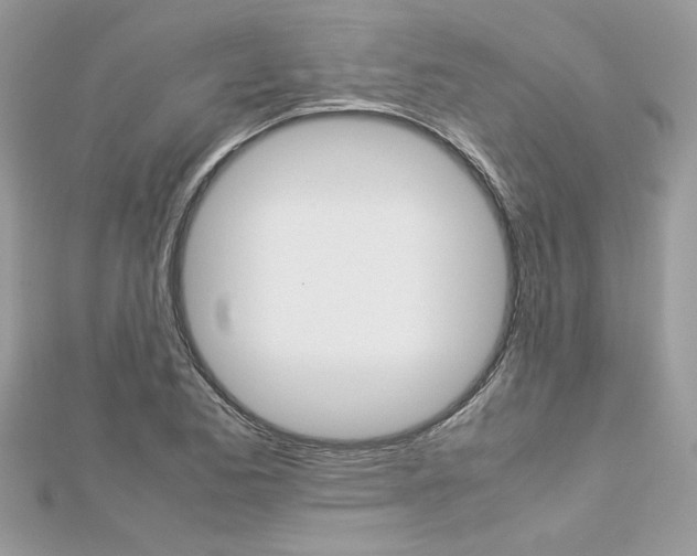 X0000113071173200908281003