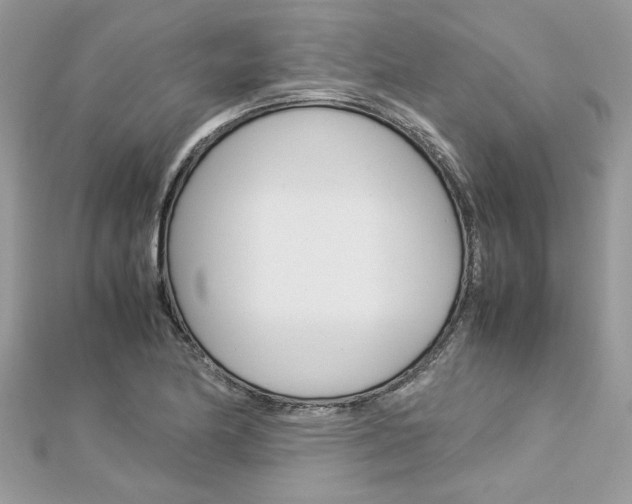 X0000113071174200908281003