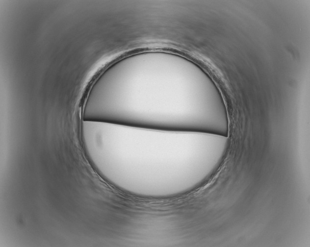 X0000113071175200908281003