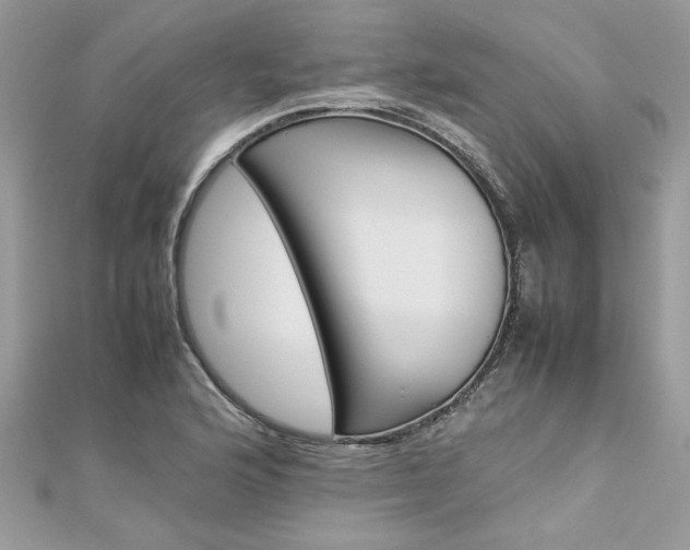 X0000113071176200908281003