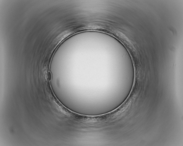 X0000113071177200908281003