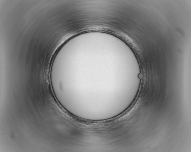 X0000113071178200908281003