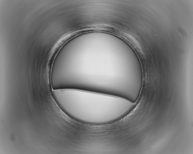 X0000113071180200908281003