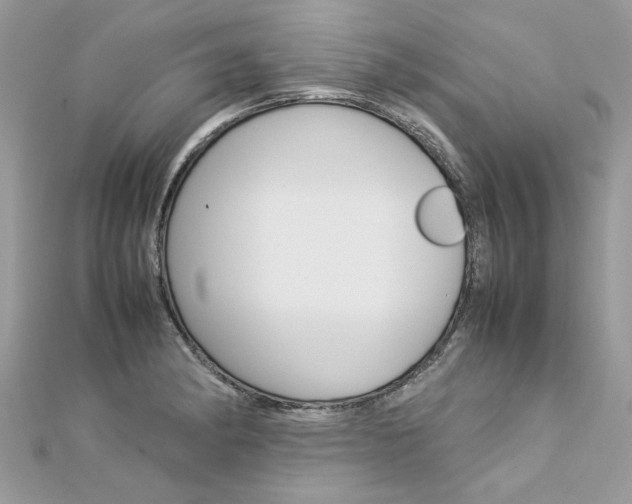 X0000113071182200908281003