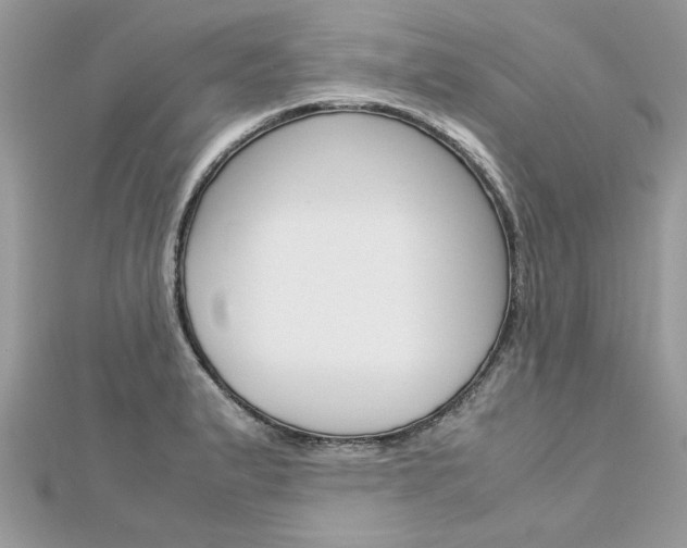X0000113071183200908281003