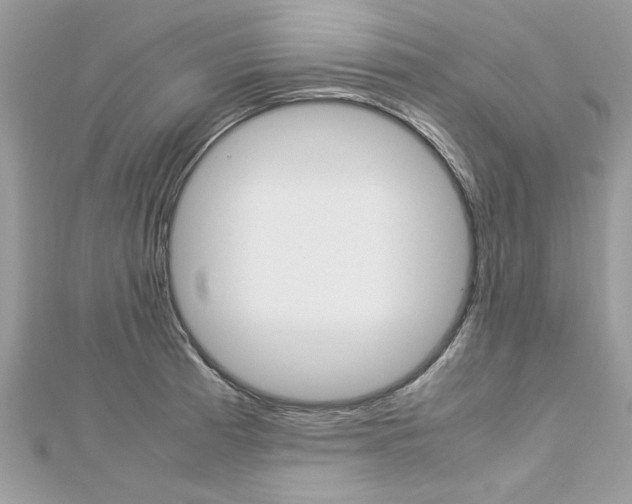 X0000113071185200908281003