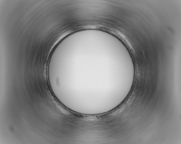 X0000113071186200908281003