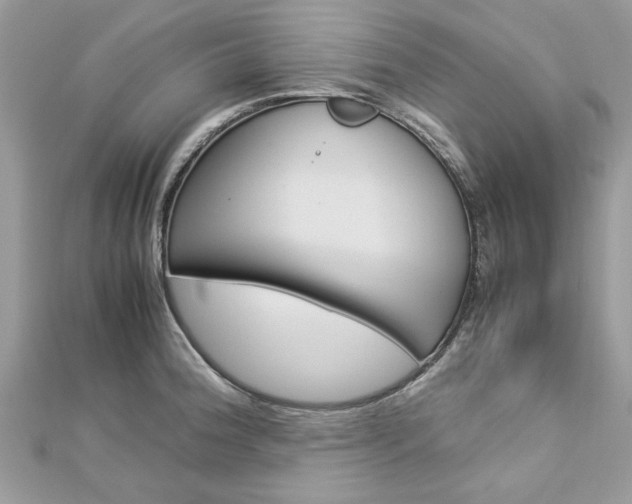 X0000113071188200908281003
