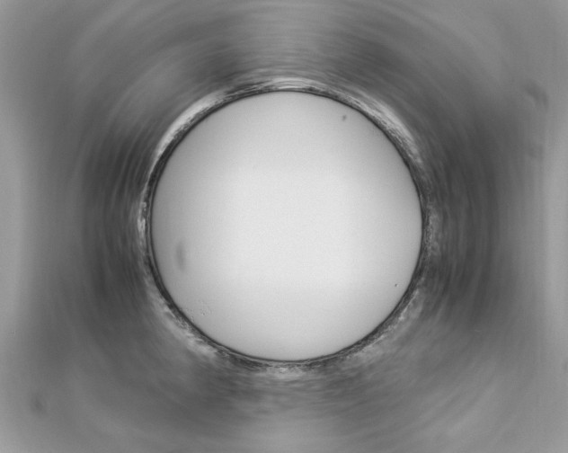 X0000113071190200908281003