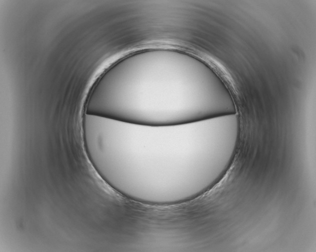 X0000113071192200908281003