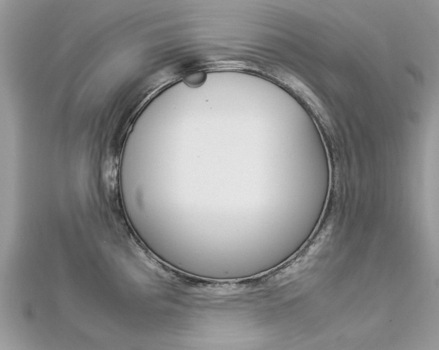 X0000113071193200908281003