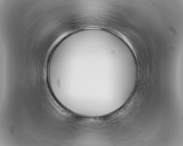 X0000113071195200908281003