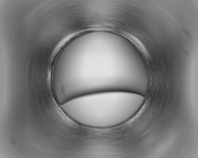 X0000113071196200908281003