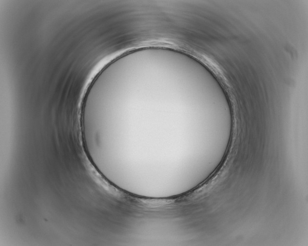 X0000113071200200908281003