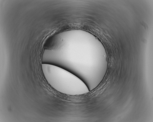 X0000113071201200908281002